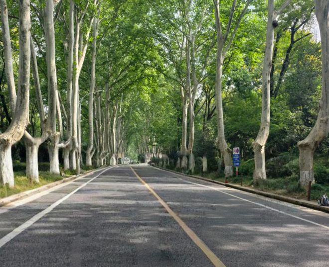 京口碑最好的旅行社一览表大揭秘必一南京旅
