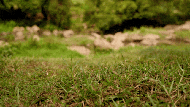 到如此可怕了！百元造某克某迪千元级户外鞋！Bsports必一体育牛！中国制造已经强(图7)