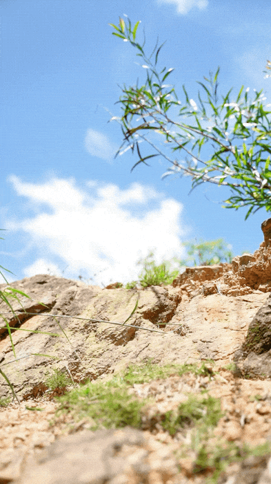 到如此可怕了！百元造某克某迪千元级户外鞋！Bsports必一体育牛！中国制造已经强(图26)